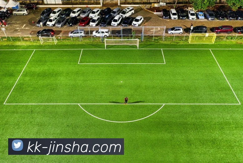 金沙国际平台生态图